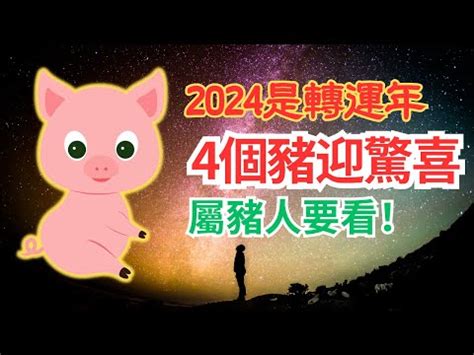 2024年豬年運程|西元2024屬豬生肖流年運勢!民國113年肖豬生人制死符。